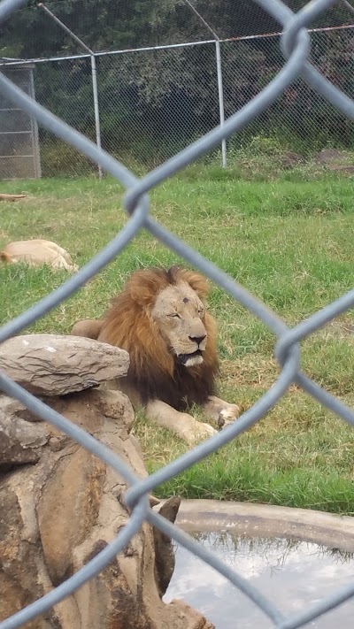 Photos of Impala Park Ostrich Pen