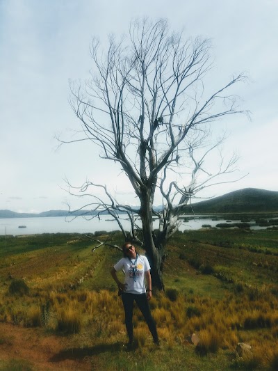 Photos of Isla Pariti