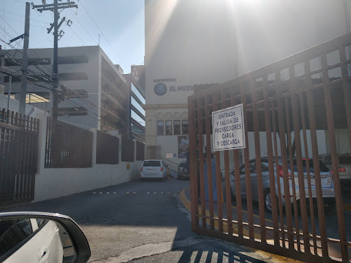 Auto Práctico - Visual