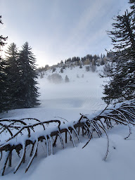 Photo n°29 de Randonnée en Vercors à Lans-en-Vercors (Cours d'alpinisme)
