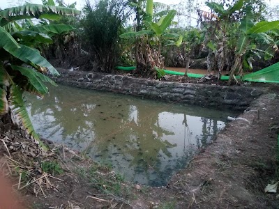 Photos of Sarumi Farms