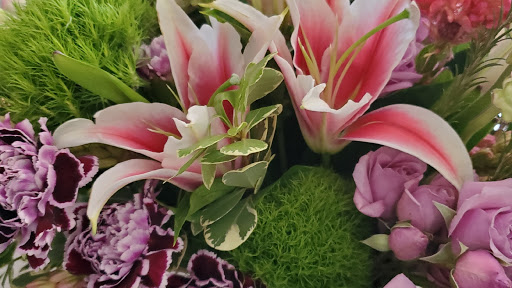 Send Flowers Here.com - Visual