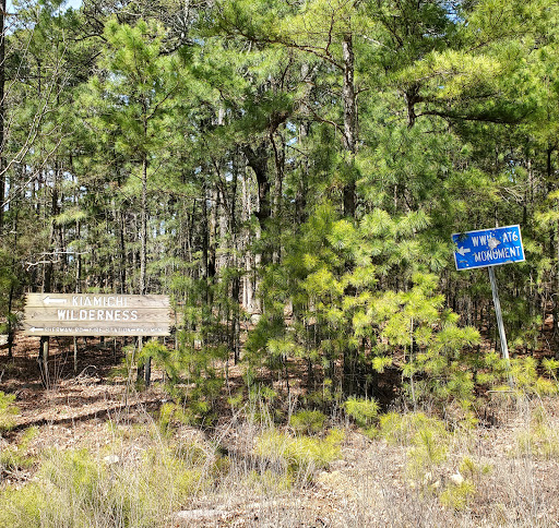 Kiamichi Wilderness Vol Fire - Thumbnail
