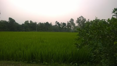 Photos of Chowhat Bazar