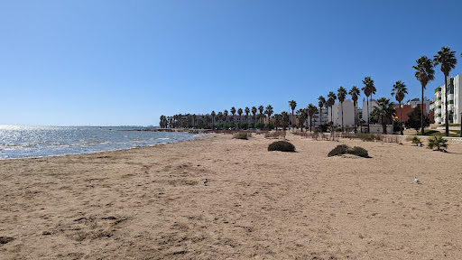 Beach Cachucha - Visual
