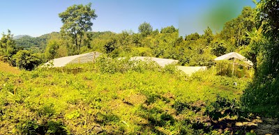 Photos of Khimlal-Rama Agro Farm