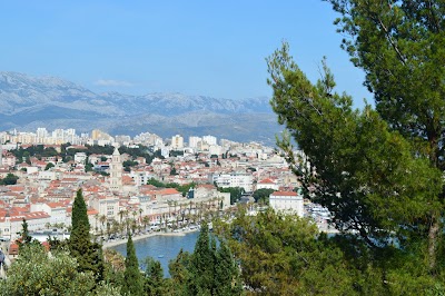 Photos of Marjan