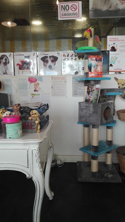 Photos of Pampered Poochies