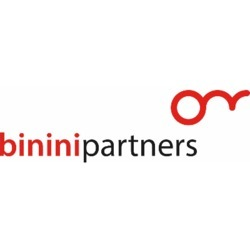 Binini Partners - Visual