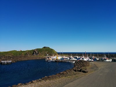 Photos of Borgarfjar&eth;arh&ouml;fn