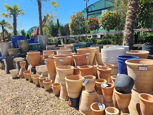 Savin Nurseries - Visual