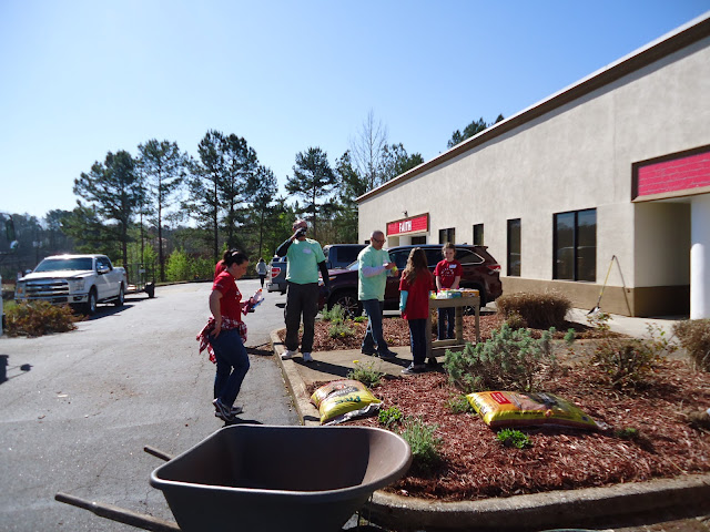 StreetWise Georgia by null