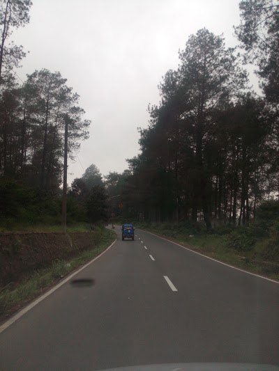 park