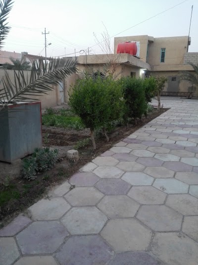 Photos of Imam Ali Mosque