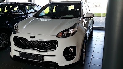 car-dealer