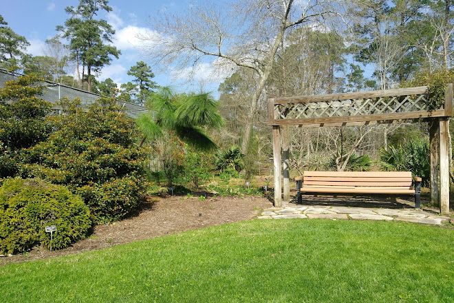 Visit Mercer Arboretum Botanic Gardens On Your Trip To Humble