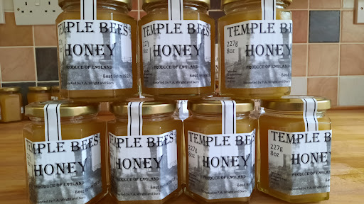 Temple Bees - Visual
