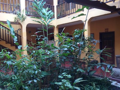 Photos of Yaragua Tours