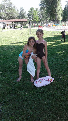Tiger Falls Splash Pad - Thumbnail