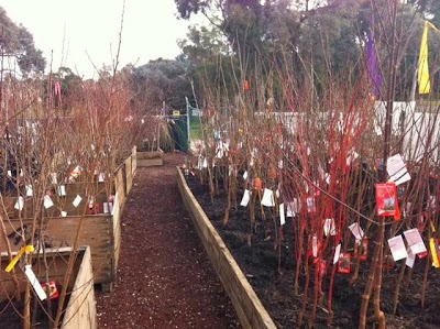 Photos of Aumann's Building & Garden Supplies