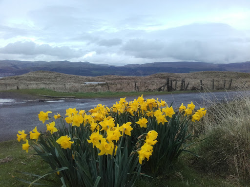 Millport Golf Club - Thumbnail