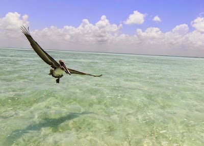 Photos of Mirasol Villa - Placencia, Belize