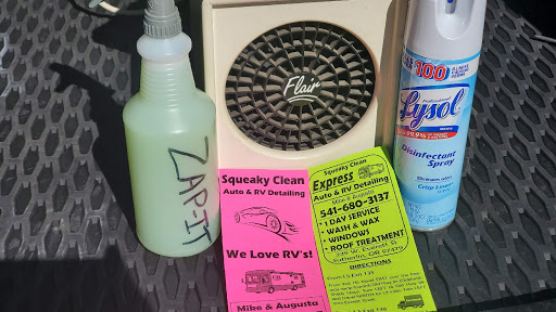 Squeaky Clean Express Auto and RV mobile detailing