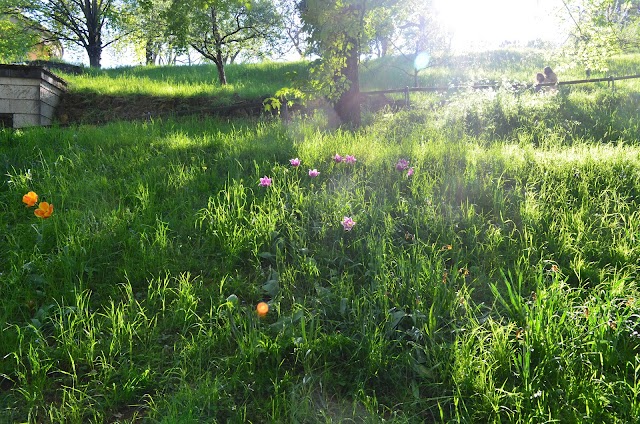 Weißenburgpark