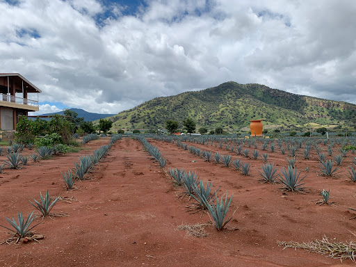 Estación de Autobuses de Tequila