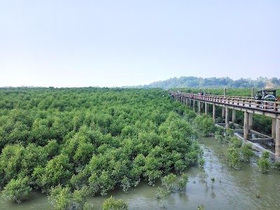 Photos of Moheshkhali Terminal