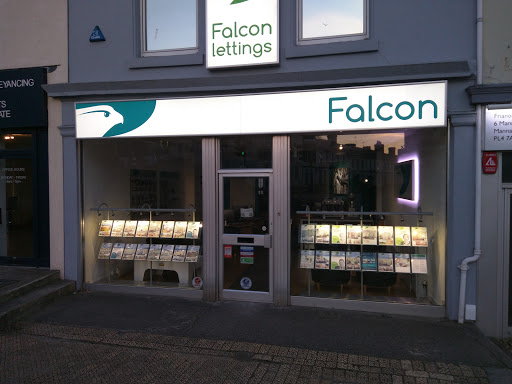 Falcon Properties - Visual