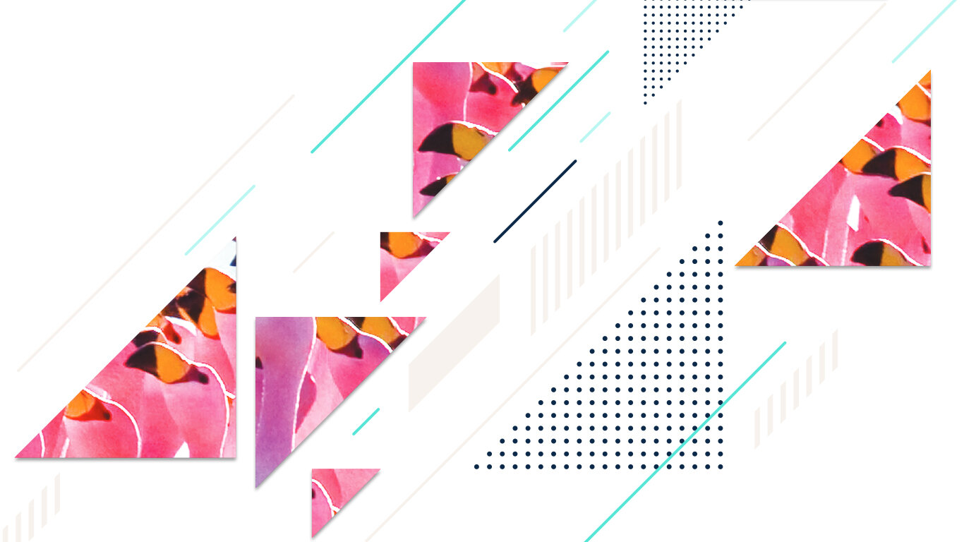 Flamingo Comunicación