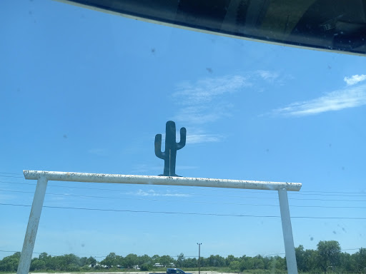Cactus Ropes - Thumbnail
