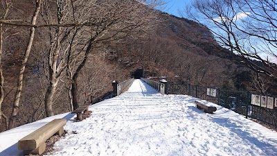 Photos of Megane-bashi