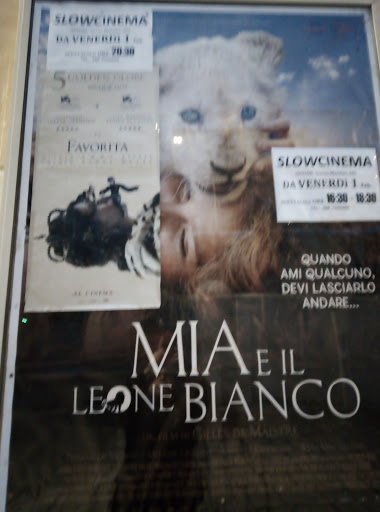 Slow Cinema - Visual