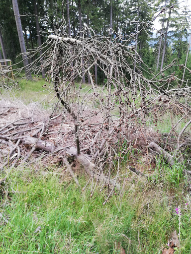 Wurzelbergfarmde - Visual