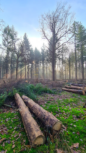 Arnoldspark Tweede slagboom rechts in de Prins Hendriklaan, Esbeek - Thumbnail