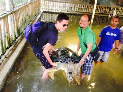 Photos of Dian Bali Car Rental And Tours Service