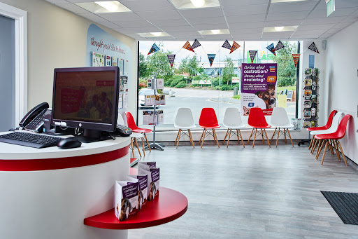 Scarsdale Vets - Langley Mill - Thumbnail