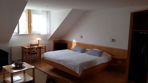 Hotel Der Wilde Schwan - Thumbnail