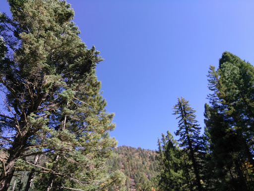 Sipapu Disc Golf Course - Thumbnail
