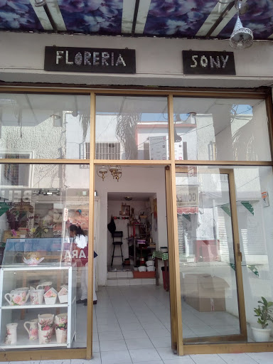 Floreria Sony