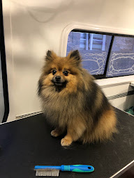 Photo n°21 de L'Anima'Mobile à Bacilly (Dresseur d'animaux de compagnie)