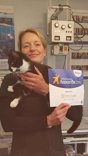 AllPets Veterinary Surgery