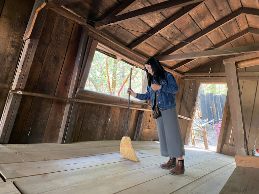 The Oregon Vortex - Visual