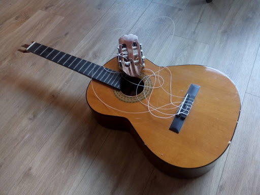 Willem van Zoelen Muziek - Thumbnail