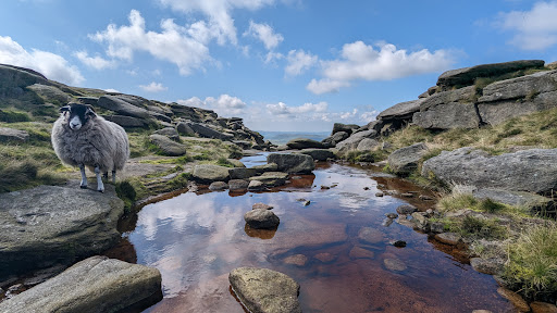 Kinder Downfall - Thumbnail