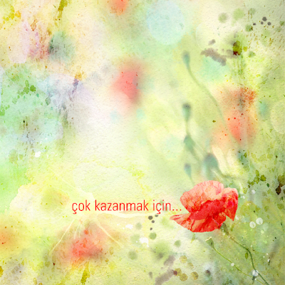 Photos of Emlak Acentesi ( Satılık Arsa & Satılık Daire & Satılık İşyeri )