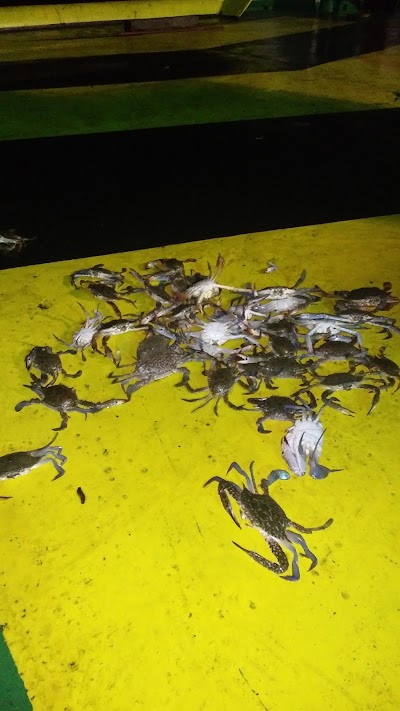 Photos of RM Paiton Permai