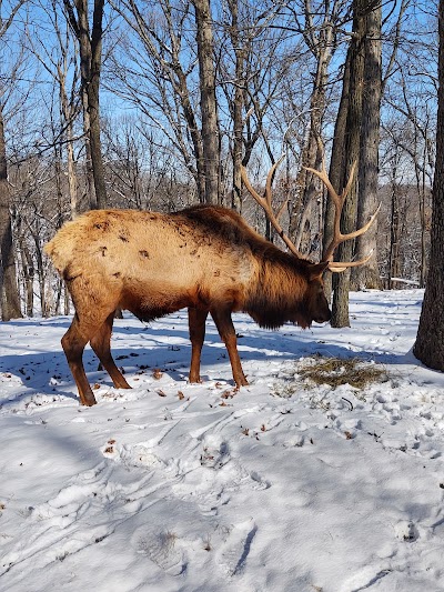 Lone Elk Park